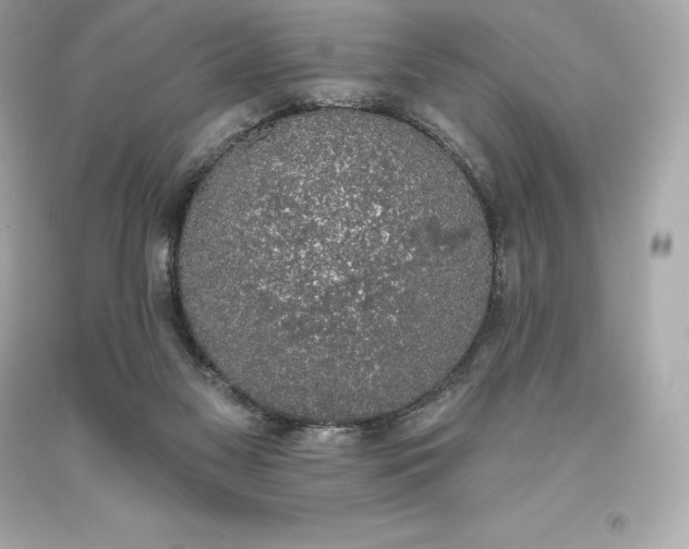 X0000093620117200711051247