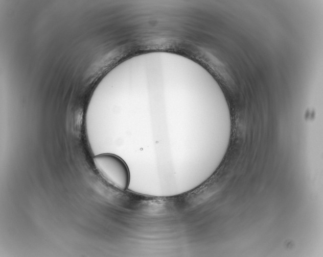 X0000093620118200711051247