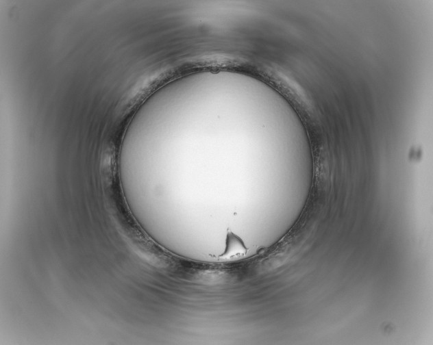 X0000093620119200711051247