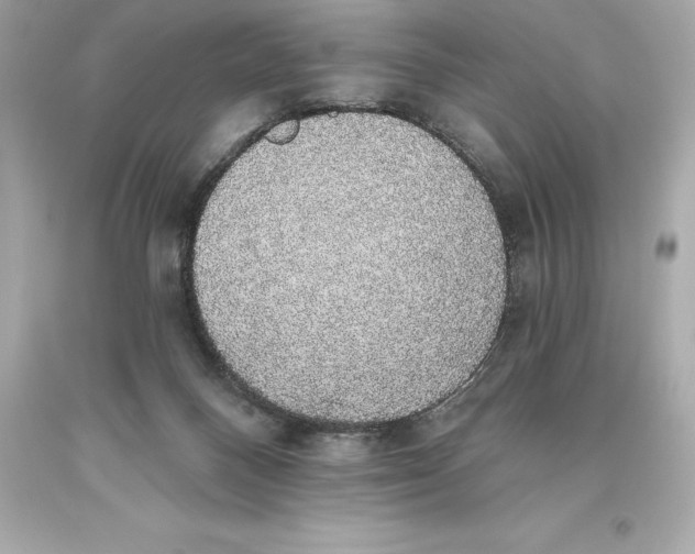 X0000093620120200711051247