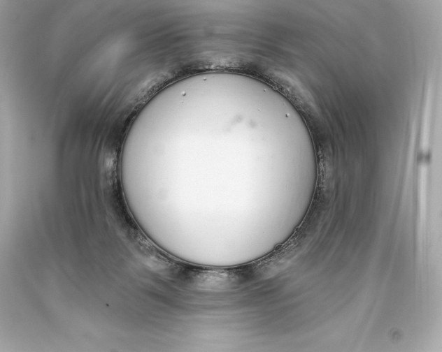 X0000093620123200711051247