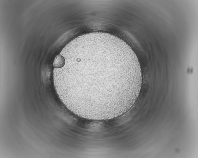 X0000093620124200711051247