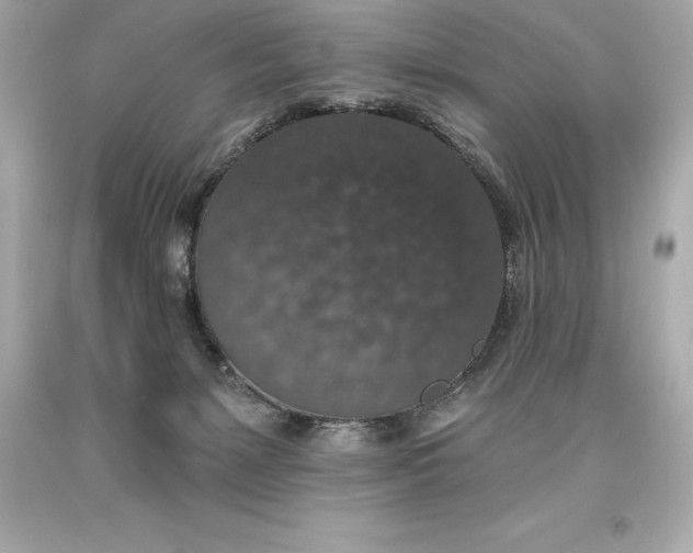 X0000093620127200711051247