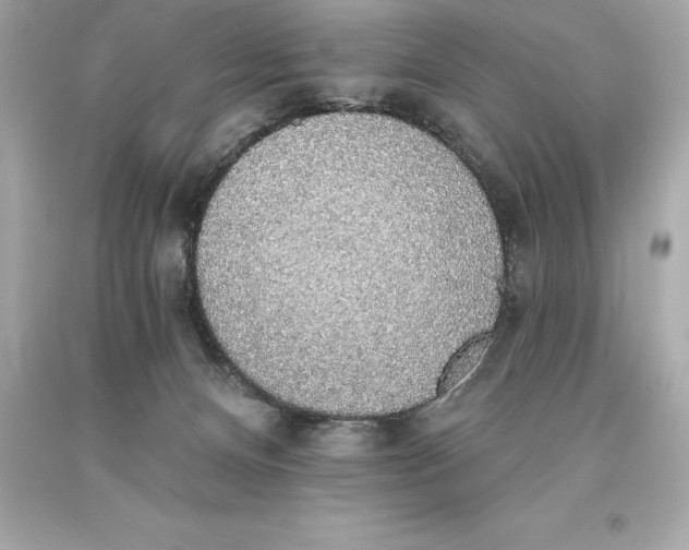 X0000093620128200711051247