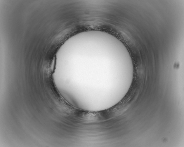 X0000093620129200711051247