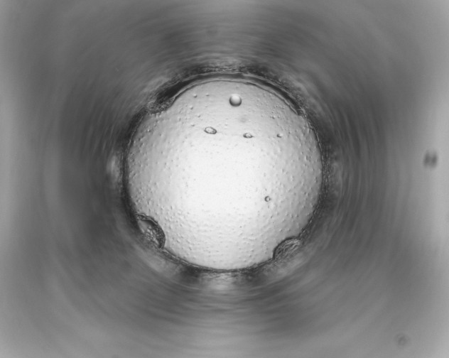 X0000093620131200711051247