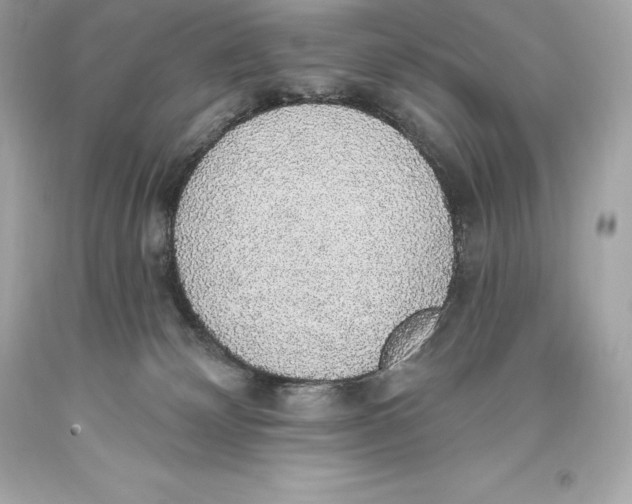 X0000093620132200711051247