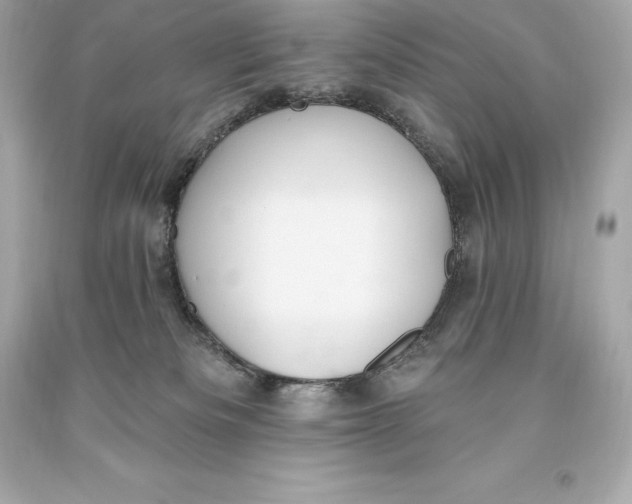 X0000093620133200711051247