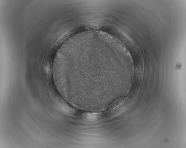 X0000093620134200711051247