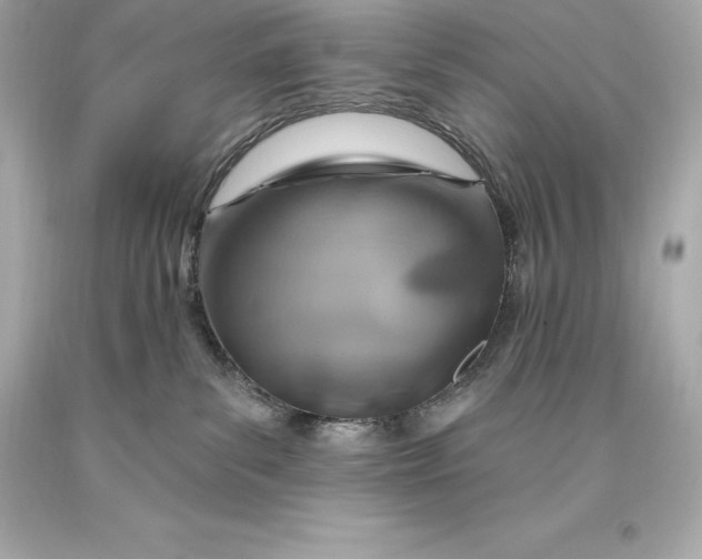 X0000093620139200711051247