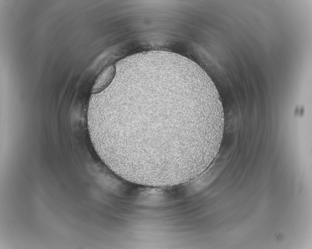 X0000093620140200711051247