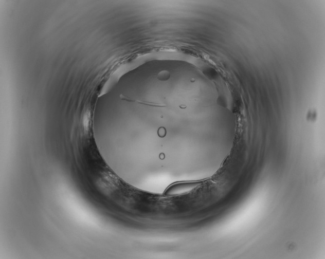 X0000093620143200711051247