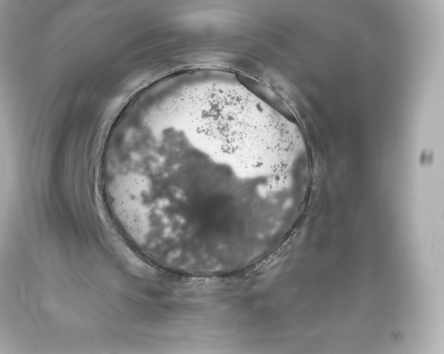 X0000093620145200711051246