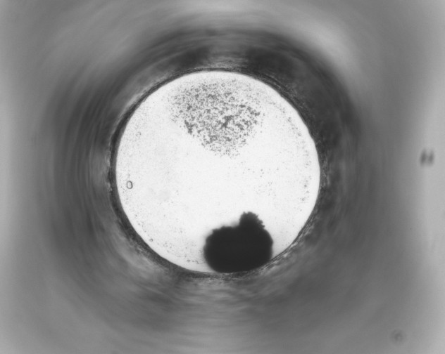 X0000093620146200711051246