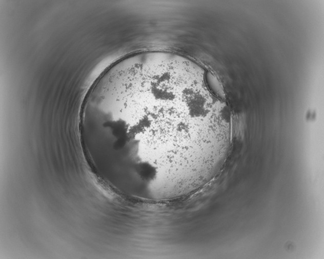 X0000093620147200711051246