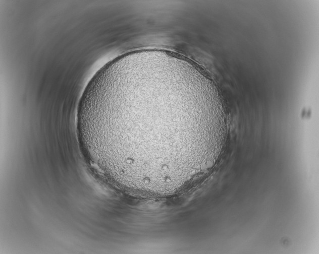 X0000093620148200711051246