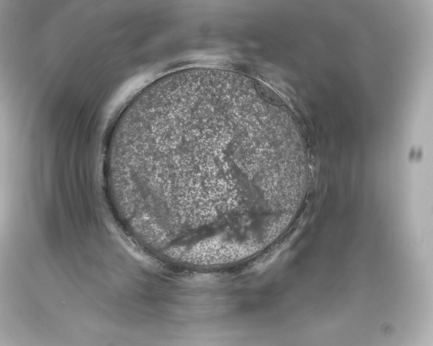 X0000093620149200711051246