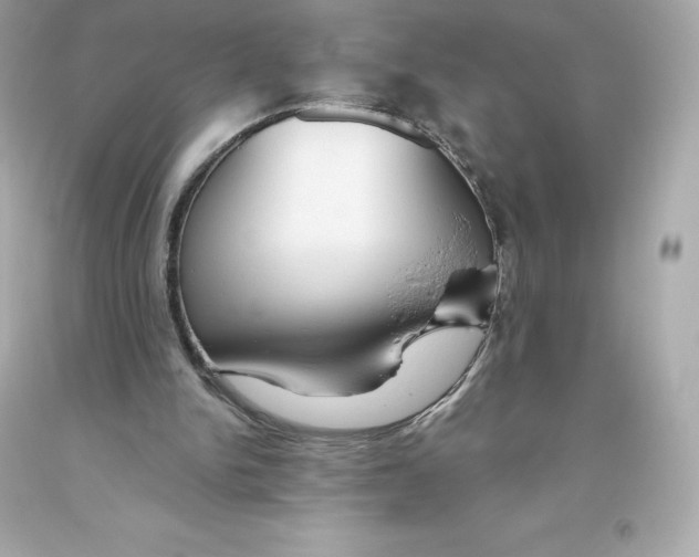 X0000093620150200711051246