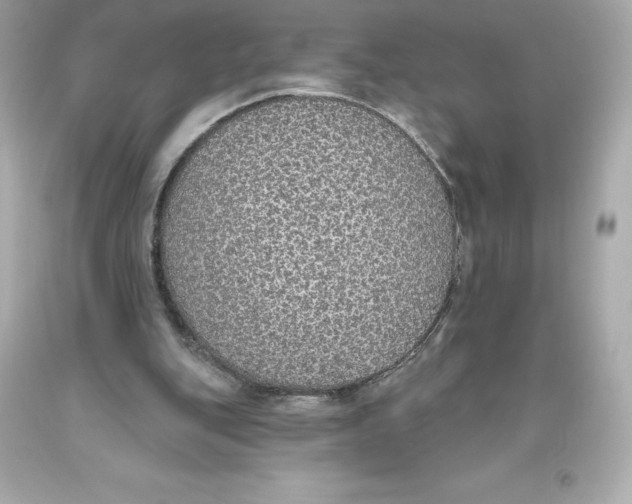 X0000093620151200711051246