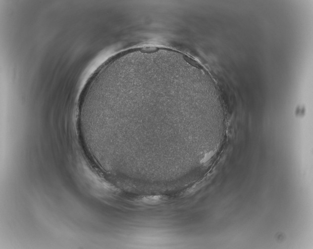 X0000093620152200711051246