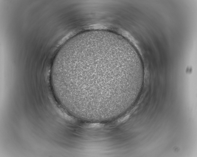 X0000093620153200711051246