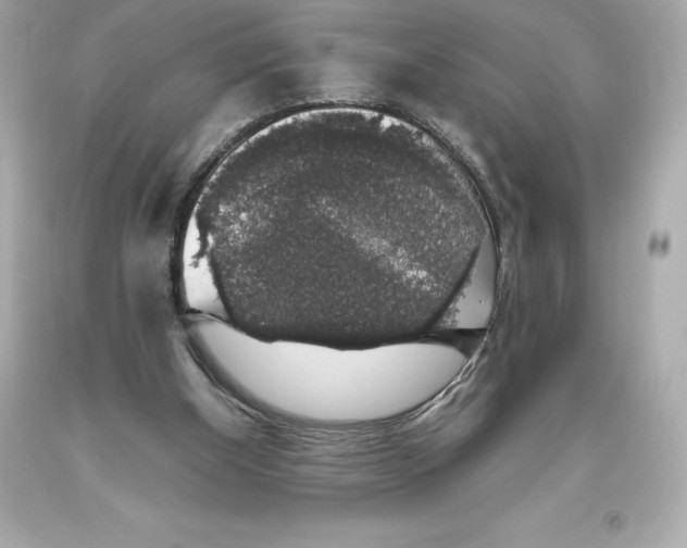 X0000093620154200711051246