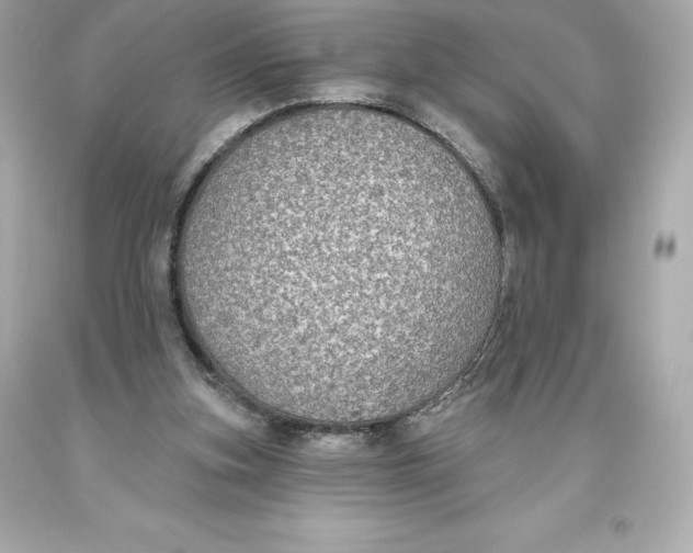 X0000093620155200711051246