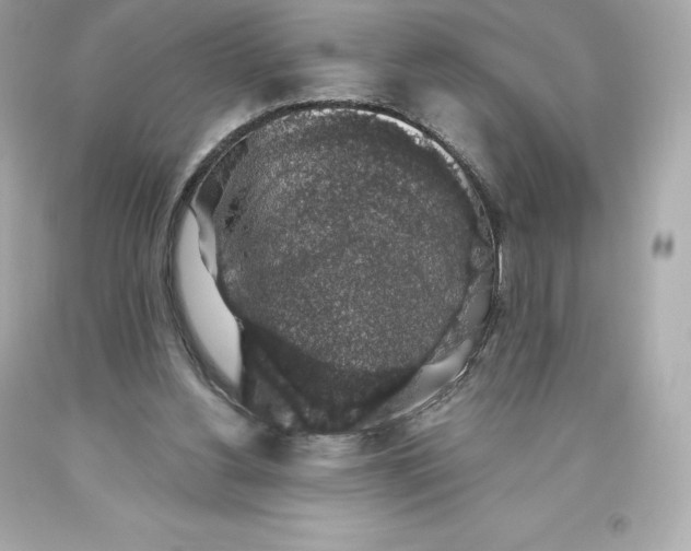 X0000093620156200711051246