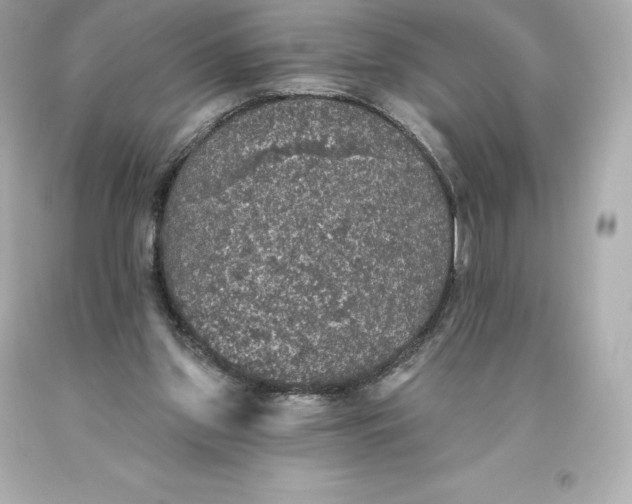 X0000093620157200711051246