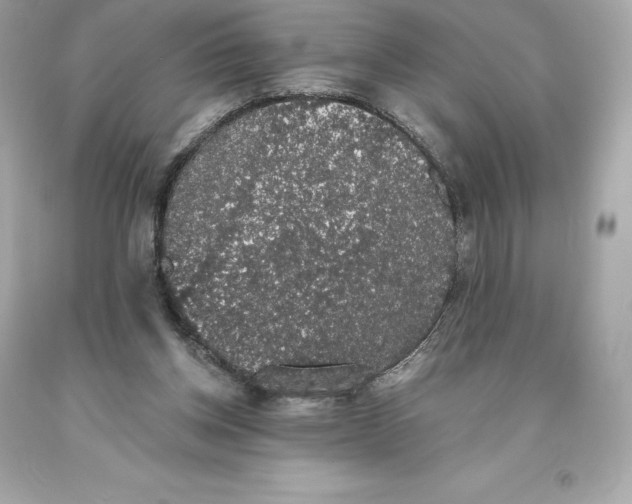 X0000093620158200711051246