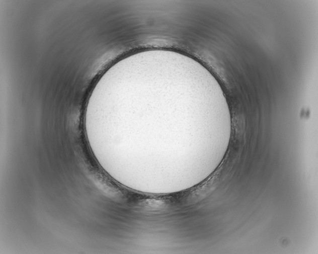 X0000093620159200711051246