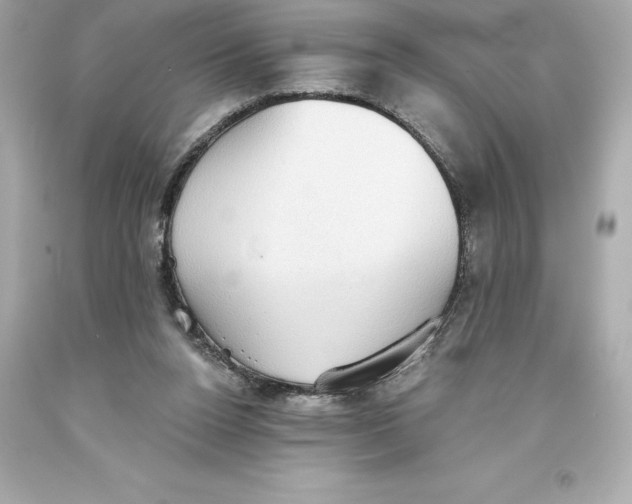 X0000093620160200711051246