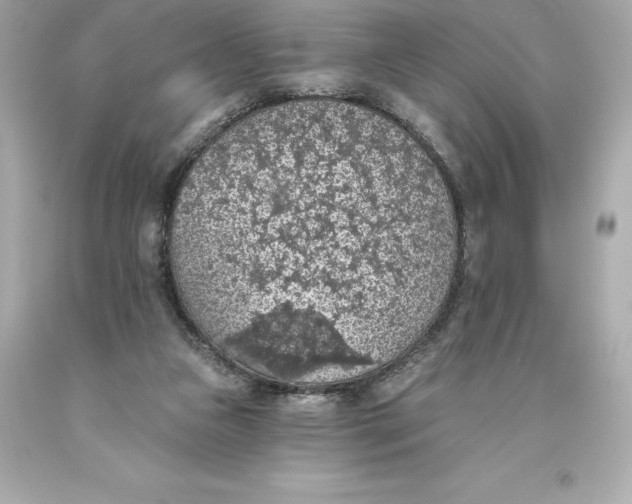 X0000093620161200711051246