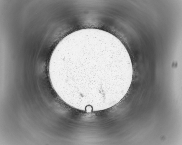 X0000093620162200711051246