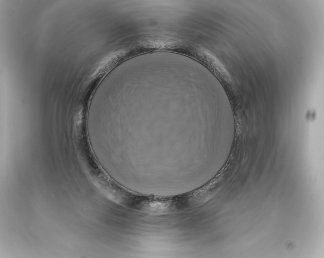 X0000093620163200711051246