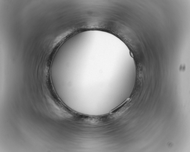 X0000093620164200711051246