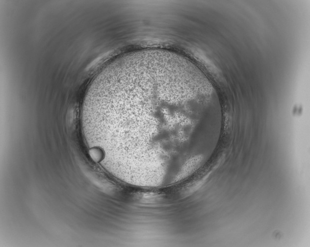 X0000093620165200711051246