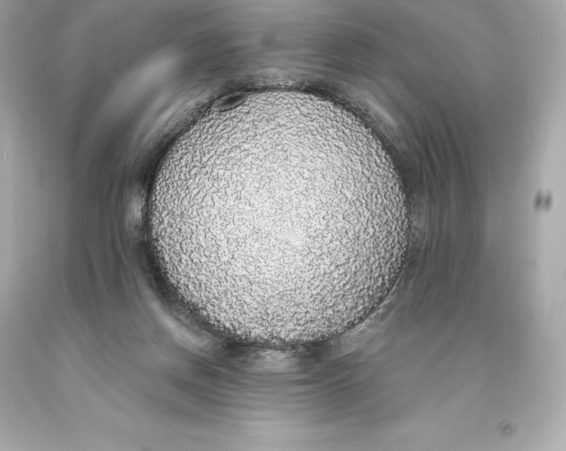 X0000093620166200711051246