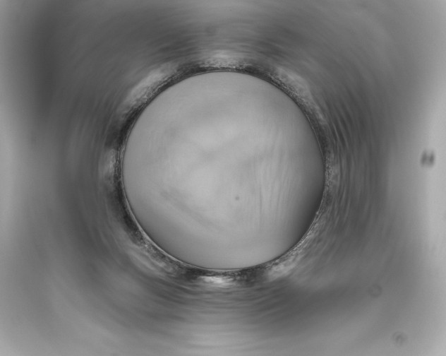 X0000093620167200711051246