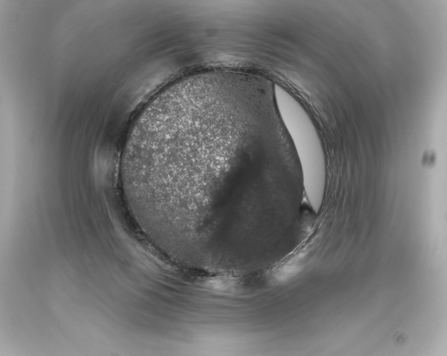 X0000093620168200711051246