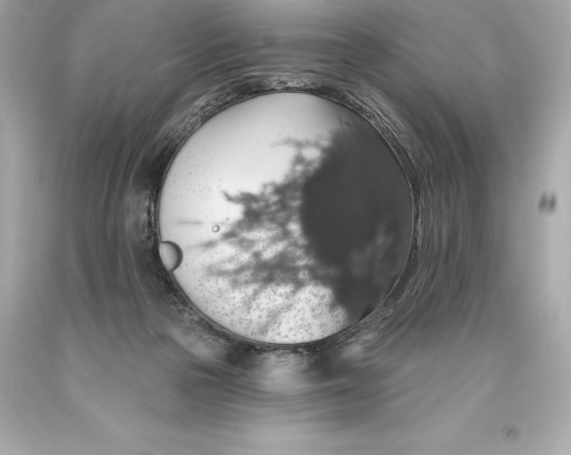 X0000093620169200711051246