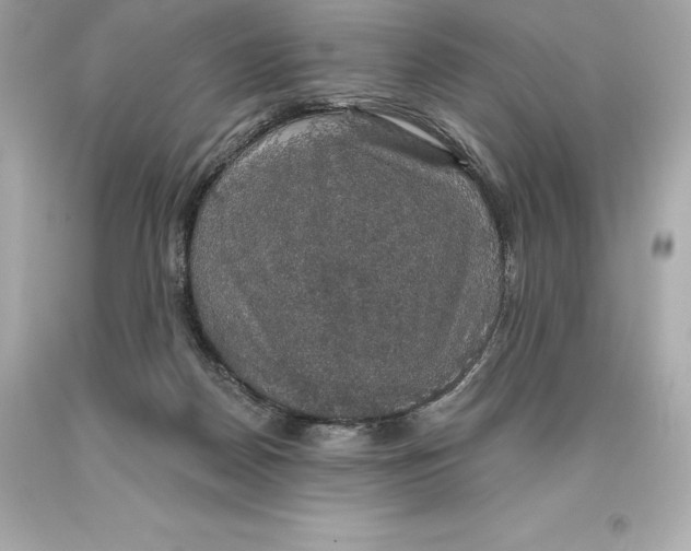 X0000093620170200711051246