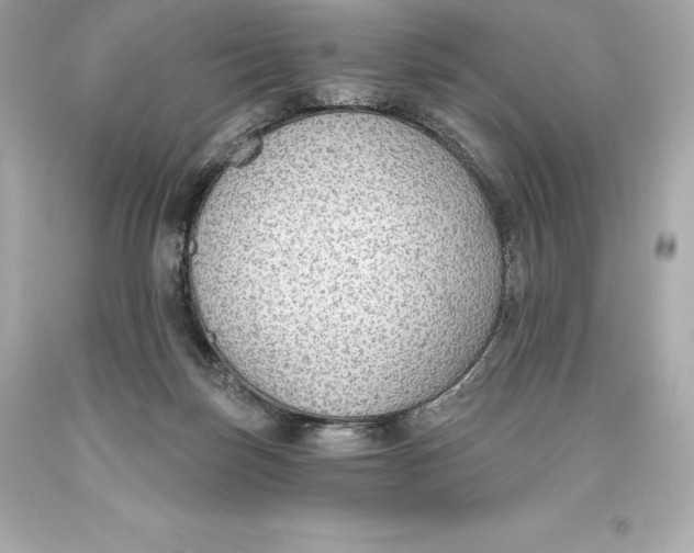 X0000093620171200711051246