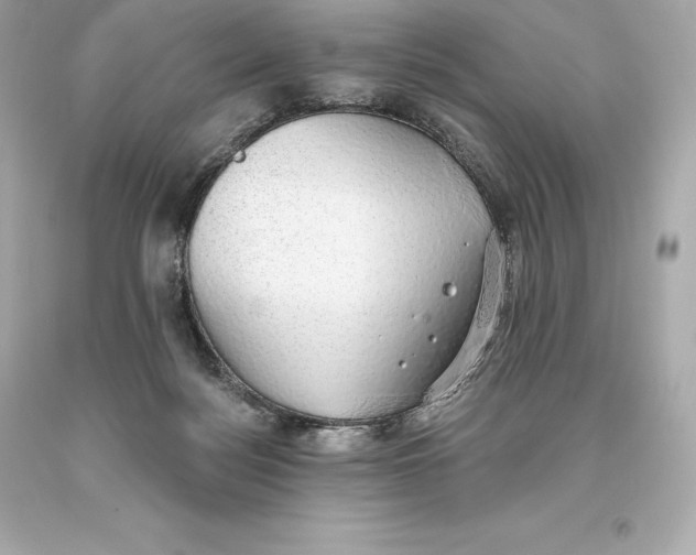 X0000093620172200711051246