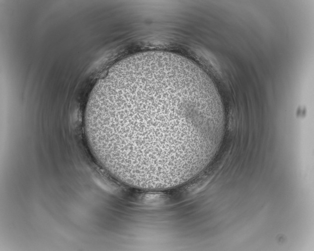 X0000093620173200711051246