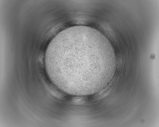 X0000093620175200711051246