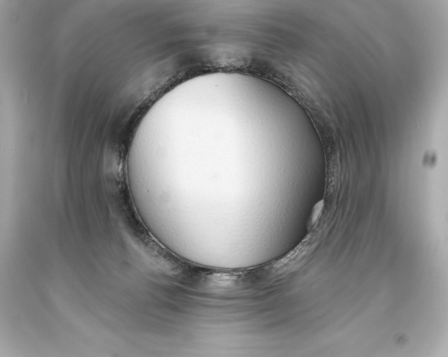 X0000093620176200711051246