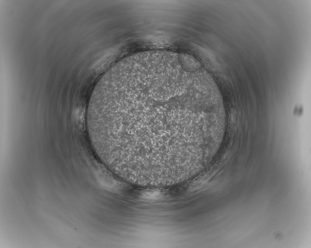 X0000093620177200711051246