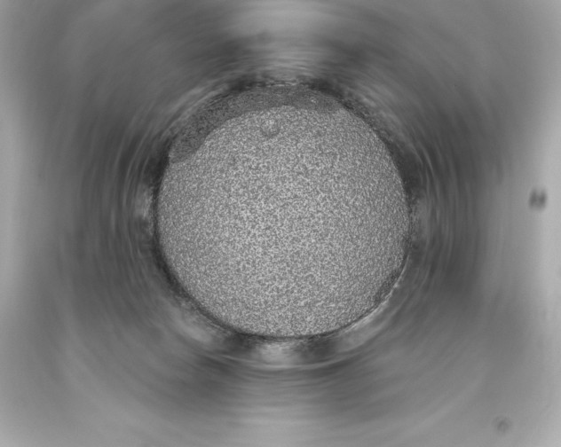 X0000093620178200711051246