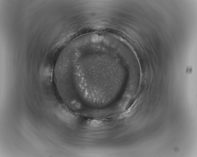 X0000093620180200711051246